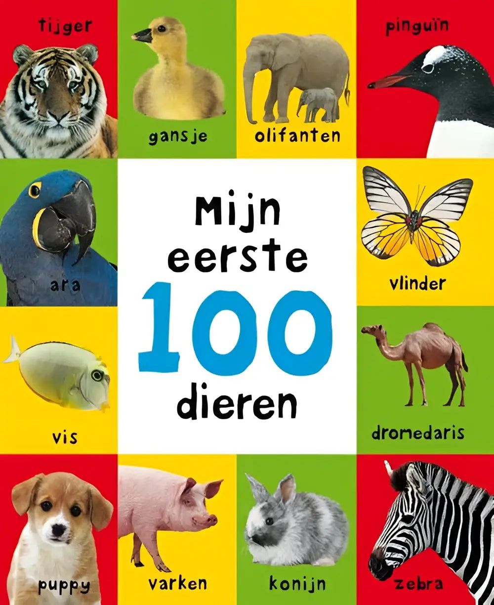 Boekomslag voorkant 9789000330416