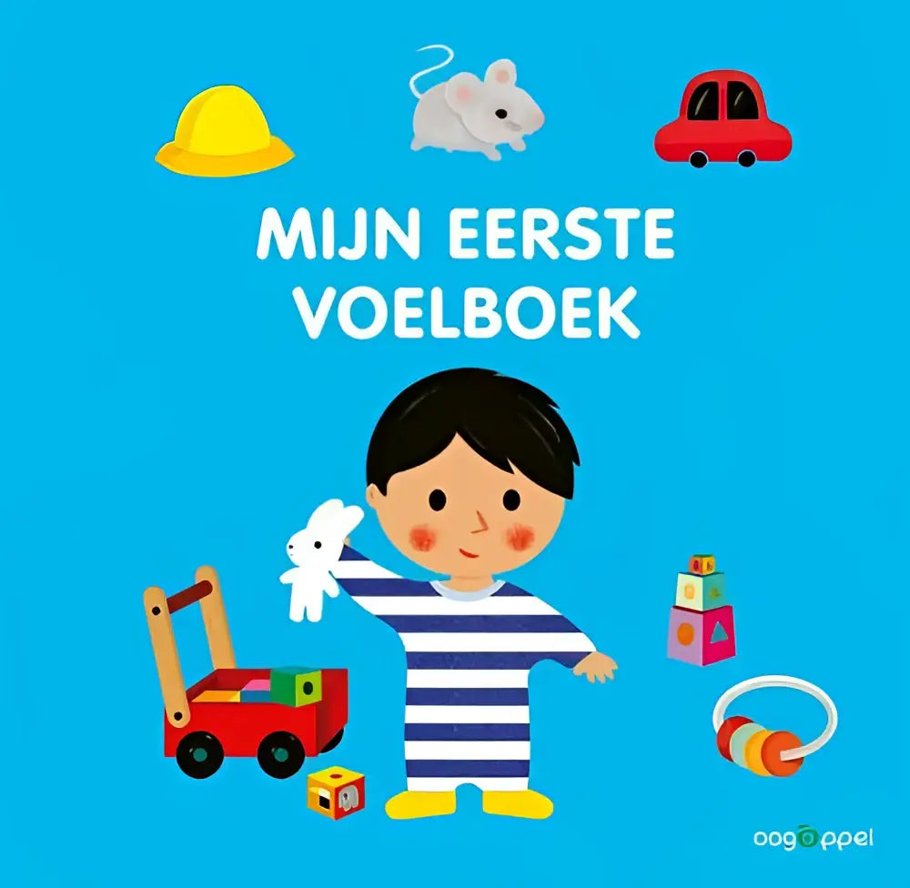 Boekomslag voorkant 9789002282980