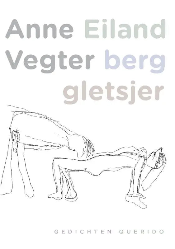 De boekcover van eiland berg gletsjer toont een minimalistische zwart-wit lijntekening van twee figuren met anne vegter naam