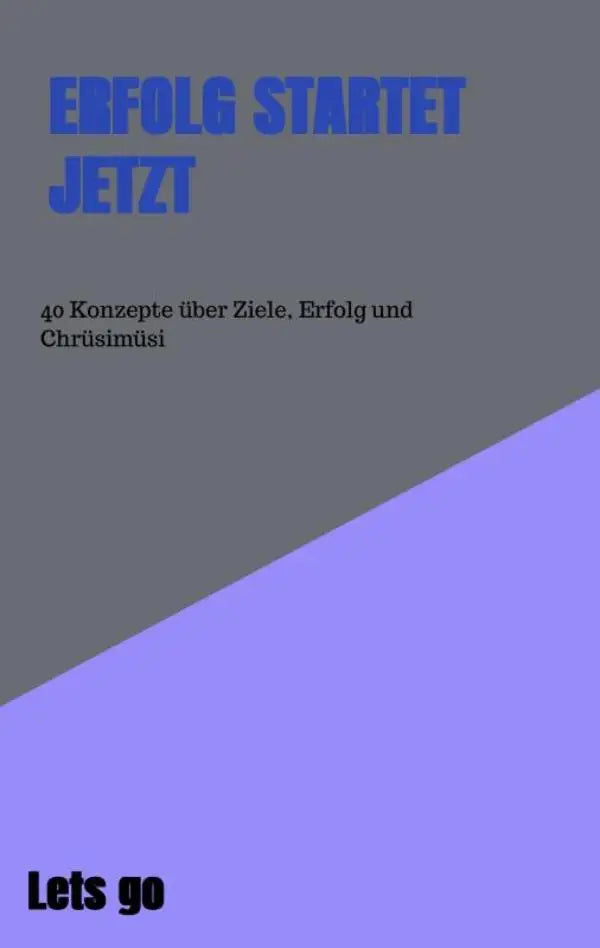 Boekomslag met de titel erfolg startet jetzt in gedurfde blauwe tekst op grijs paarse achtergrond met concepten over doelen