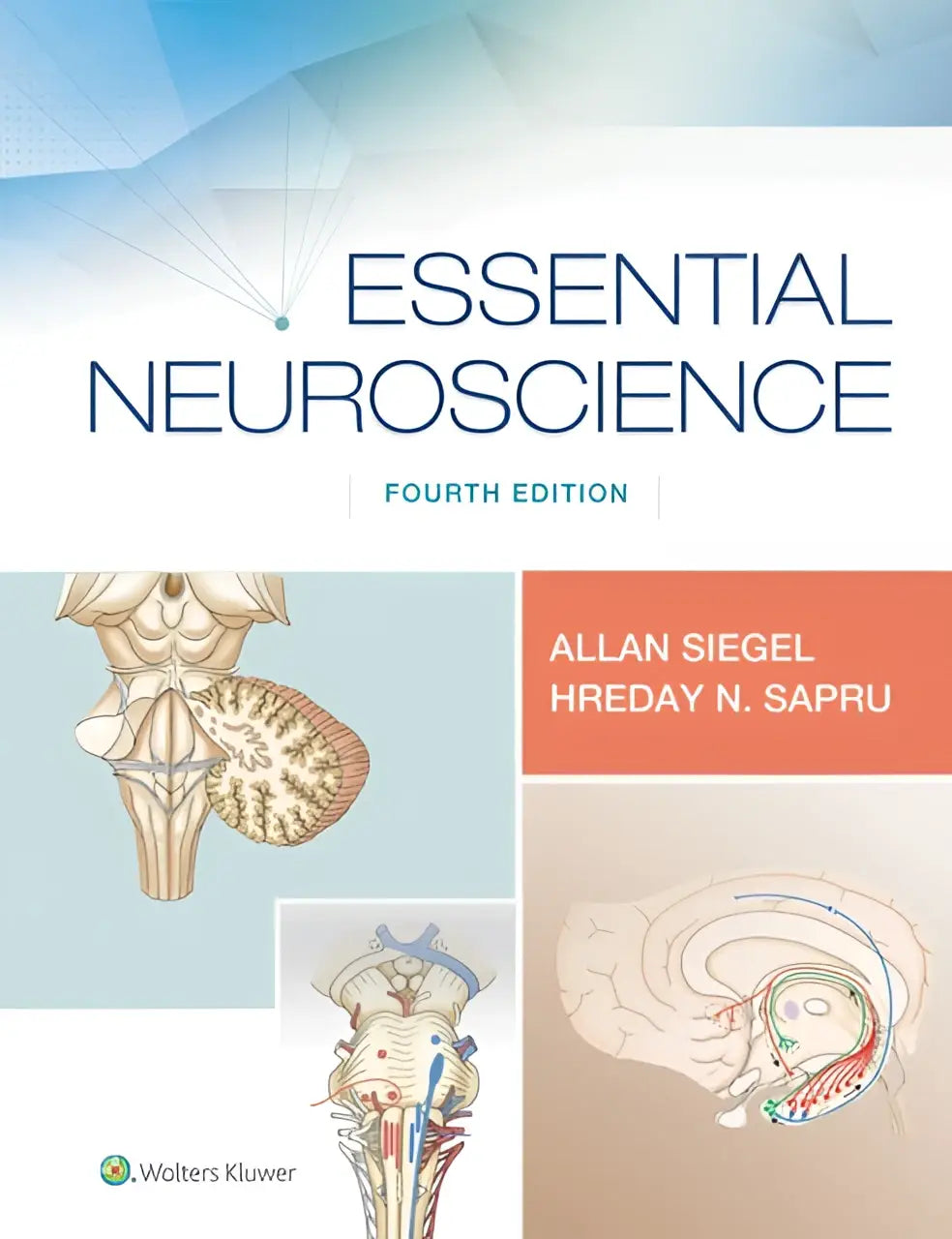 De omslag van de vierde editie van het leerboek essential neuroscience door allan siegel en hreday n om te prepareer voor neurowetenschap studies