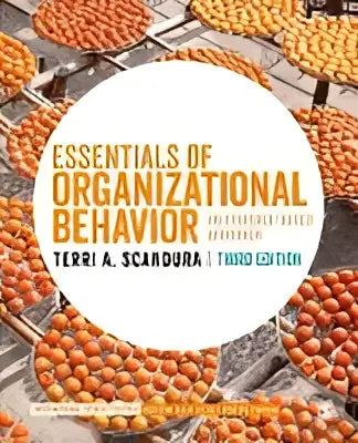 De boekomslag van essentials of organizational behavior internationale student editie toont een oranje en gele achtergrond met witte tekst