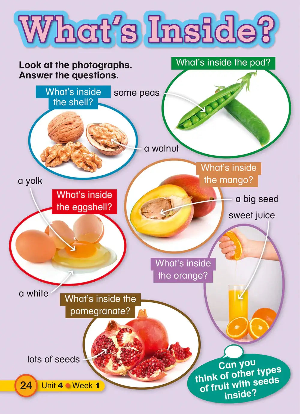 Educatief kinderleerposter met kleurrijke illustraties van diverse vruchten en noten en hun interne inhoud gelabeld uit explore english student resource book 2