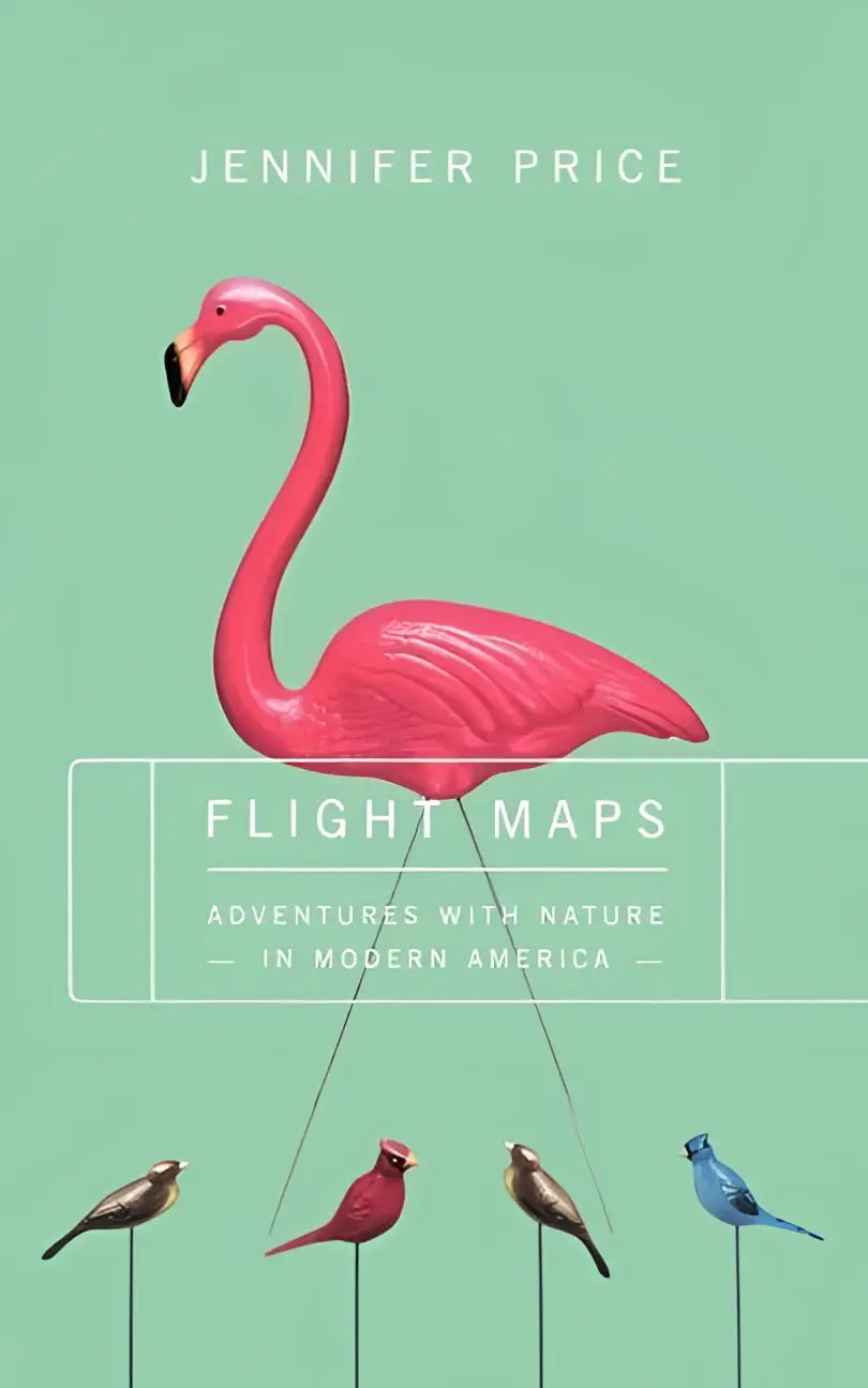 Een levendige roze flamingo beeldje met een glanzende afwerking en slanke poten uit flight maps adventures with nature in modern america