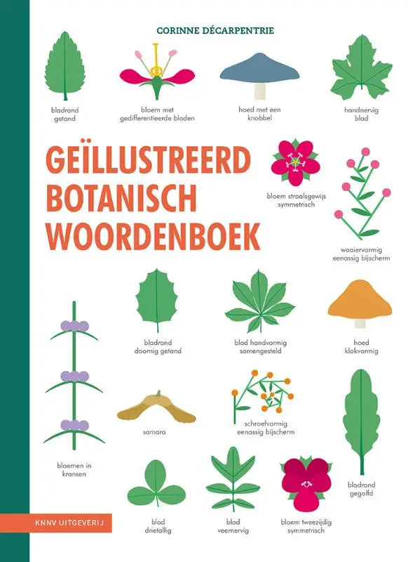 Geïllustreerd botanisch woordenboek omslag met kleurrijke botanische diagrammen van bladeren en bloemen in groen en roze