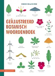 Een collectie botanisch woordenboek stickers met geïllustreerde planten in groen, rood en oranje van corinne décarpentrie