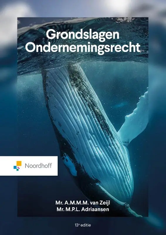 Een blauwe en witte bultrugwalvis zwemt onder water met zichtbare huidtextuur in een context van grondslagen ondernemingsrecht