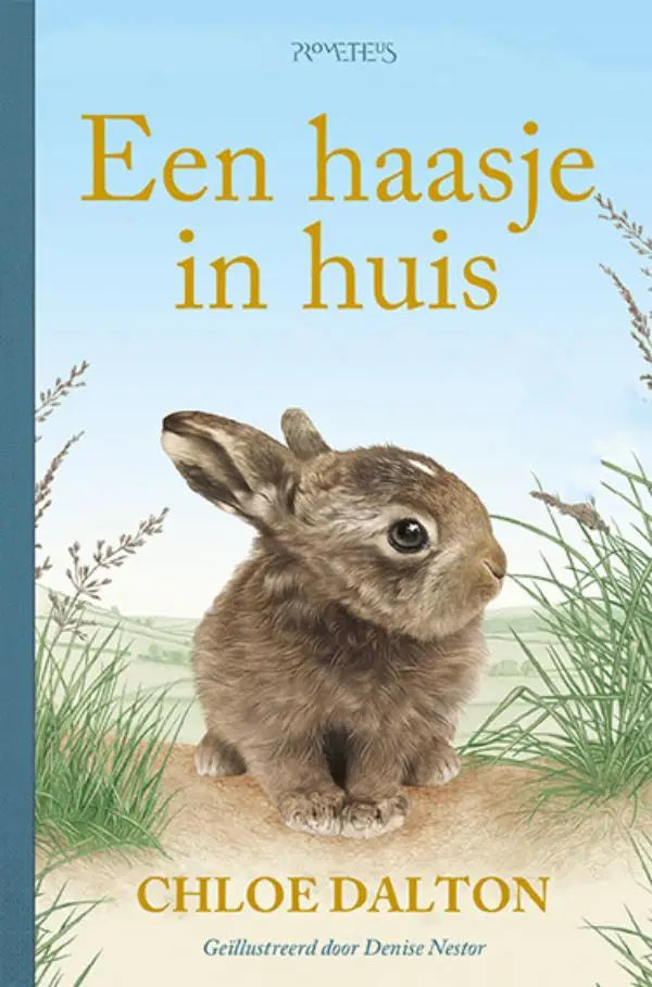 Een haasje in huis kinderboeken algemeen chloe dalton met een zachtbruine konijnillustratie voor binnen kinderboeken algemeen