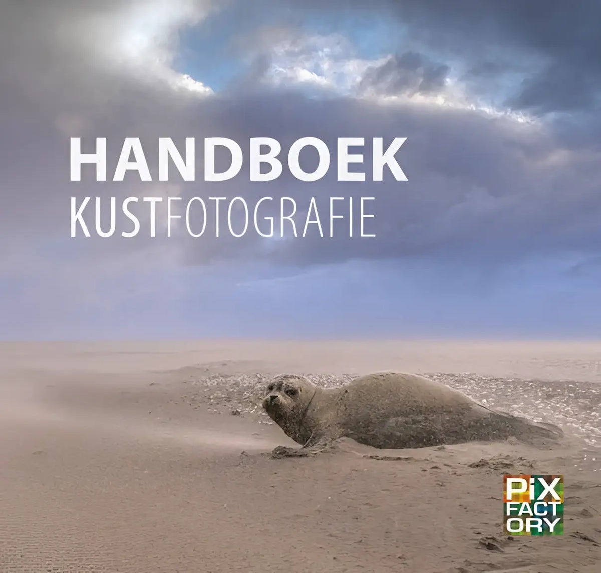 Een grijze zeehond rust op een zandstrand onder een dramatische bewolkte lucht in het handboek kustfotografie