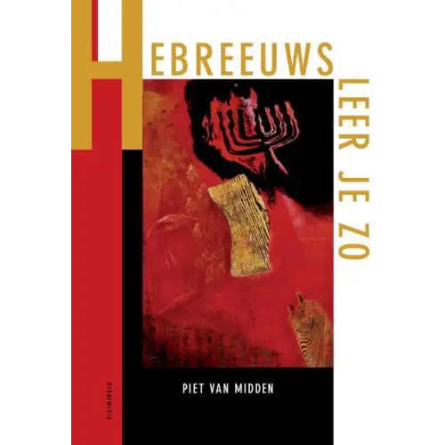 Hebreeuws leer - hebreeuws leer je zo - boek