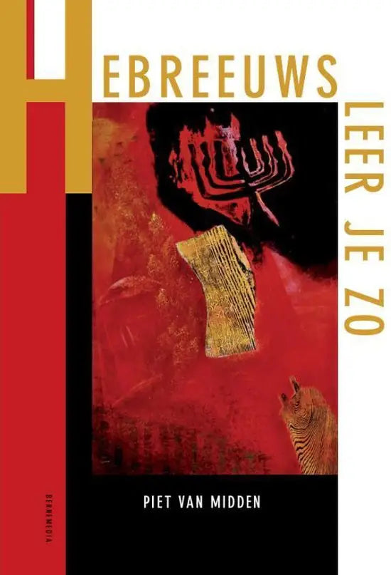 Hebreeuws leer - hebreeuws leer je zo - boek