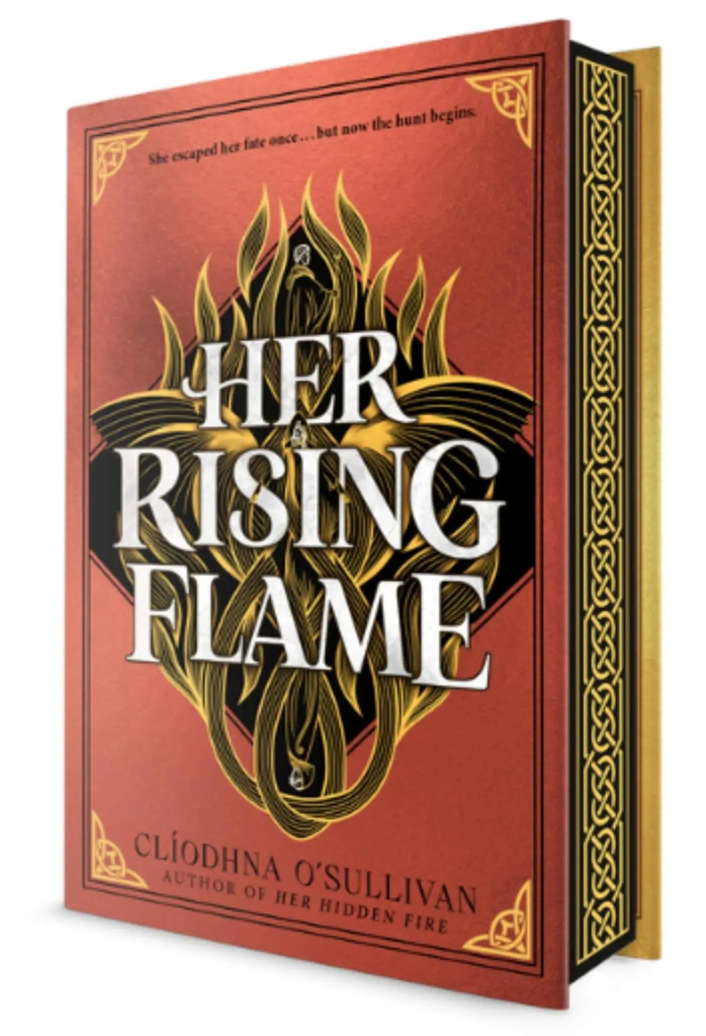 Rode hardcover boek her rising flame met goudkleurig celtisch knoopwerk en witte titeltekst over her hidden fire