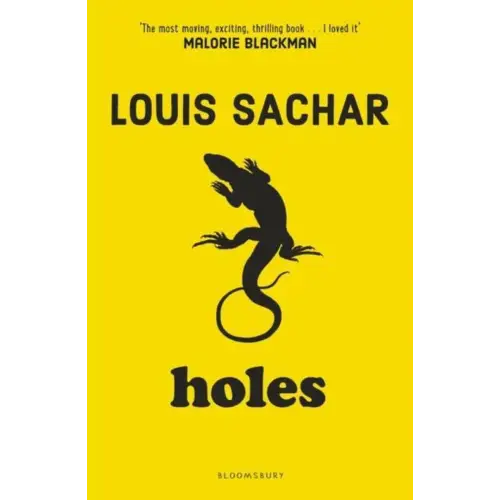 Holes - holes - boek