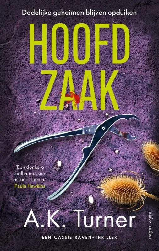 Hoofdzaak