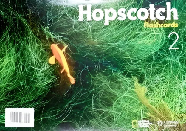 Hopscotch 2 flashcards - hopscotch 2 flashcards - boek