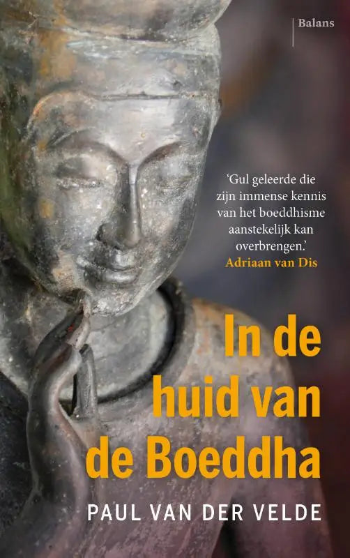 De boekcover van in de huid van de boeddha toont een close-up van een oude bronzen boeddhabeeld voor culturele antropologie en geschiedenis algemeen