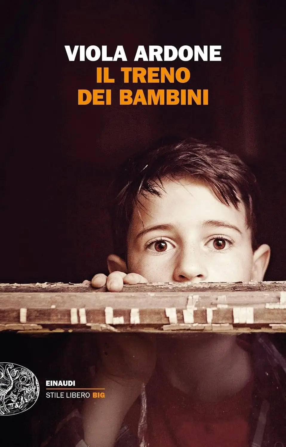 Il treno dei bambini - il treno dei bambini - boek