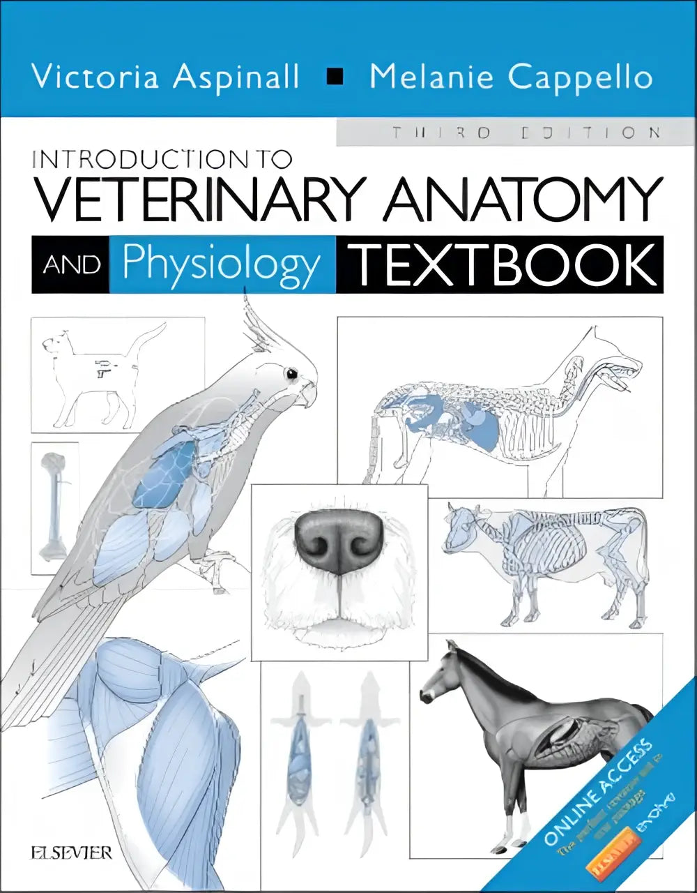 De voorkant van het leerboek introduction to veterinary anatomy and physiology derde editie toont een blauw-wit ontwerp met anatomische illustraties