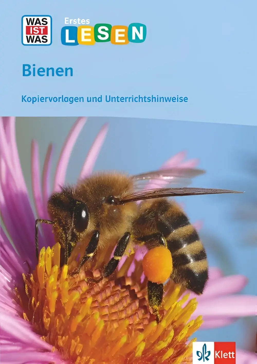 Close-up van een honingbij met doorzichtige vleugels en oranje stuifmeelzak op een roze bloem voor erstes lesen kopiervorlagen und unterrichtshinweise