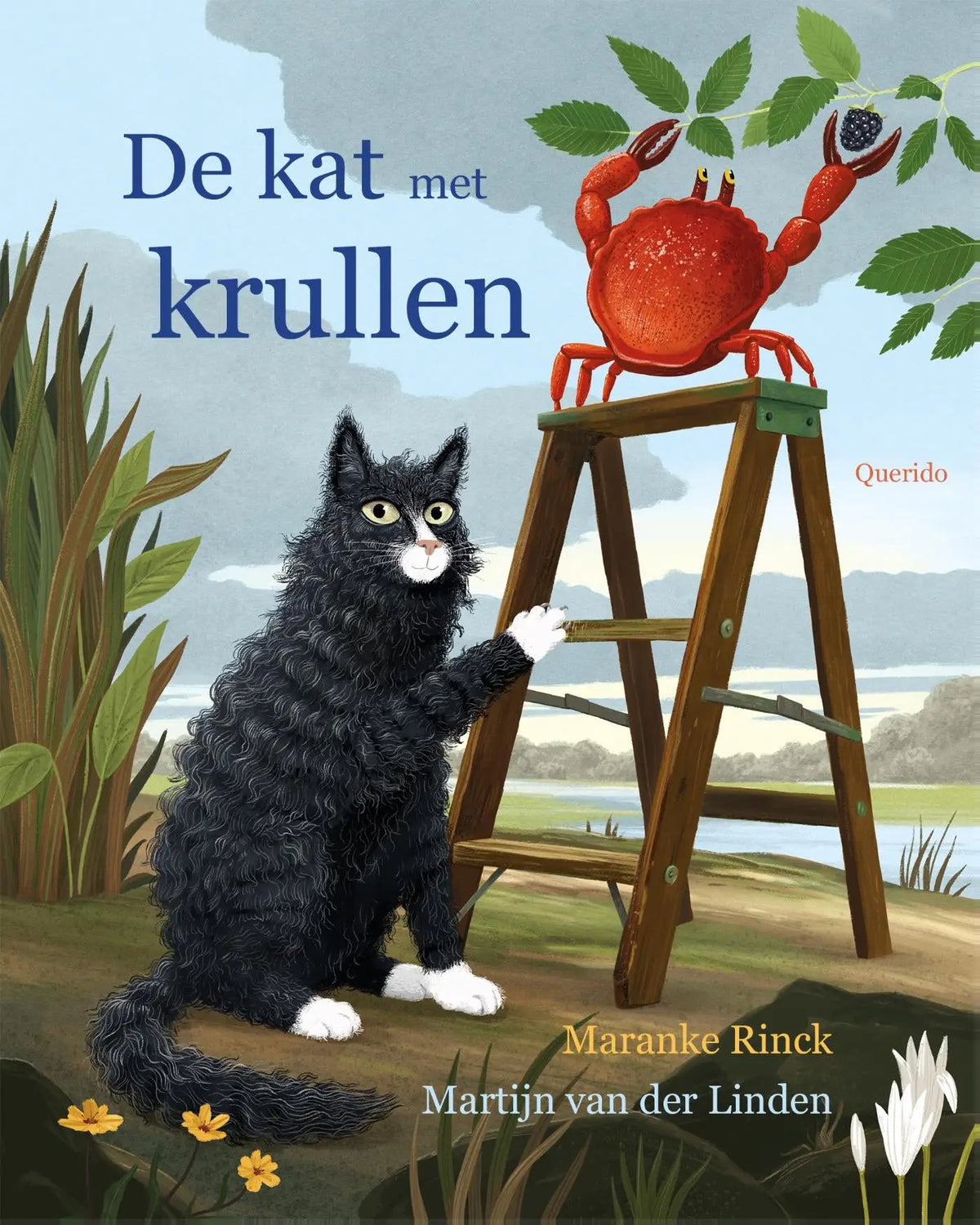 Een zwart-witte pluizige kat met groene ogen zit naast een houten ladder en reikt ernaar in de kat met krullen van maranke rinck