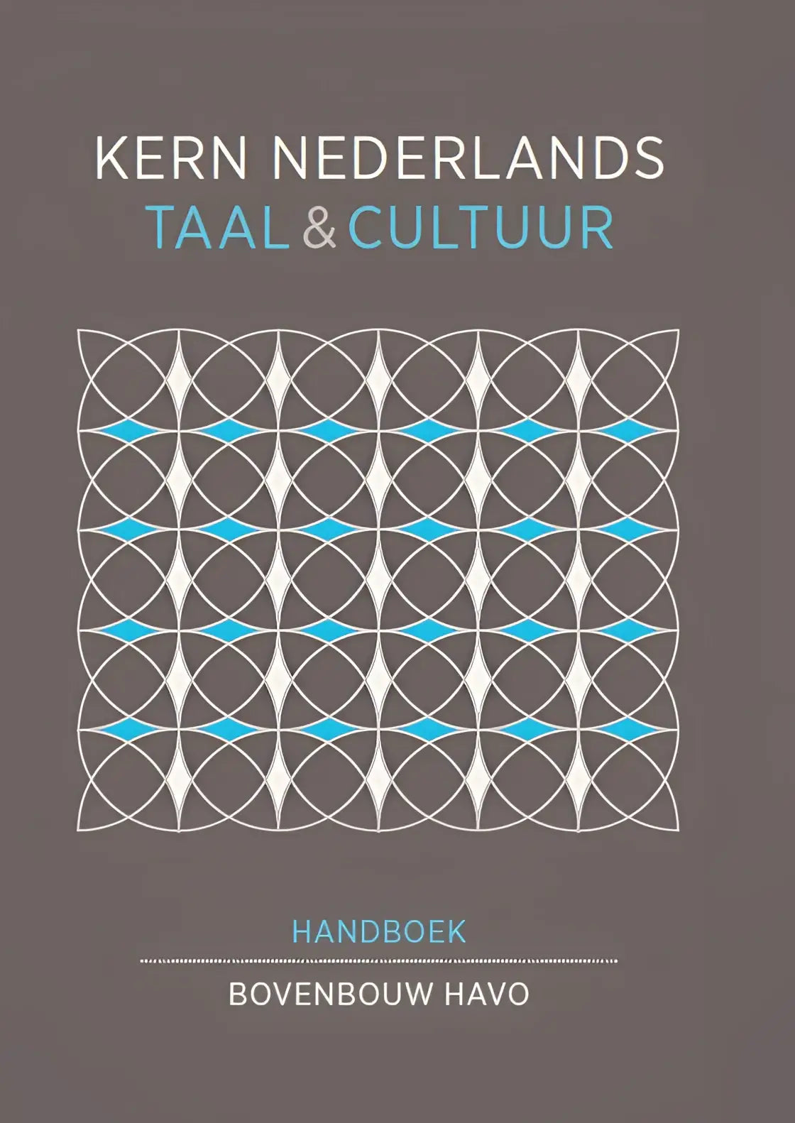 Het omslag van het kern nederlands handboek voor bovenbouw havo met een geometrisch patroon in wit, lichtblauw en bruin