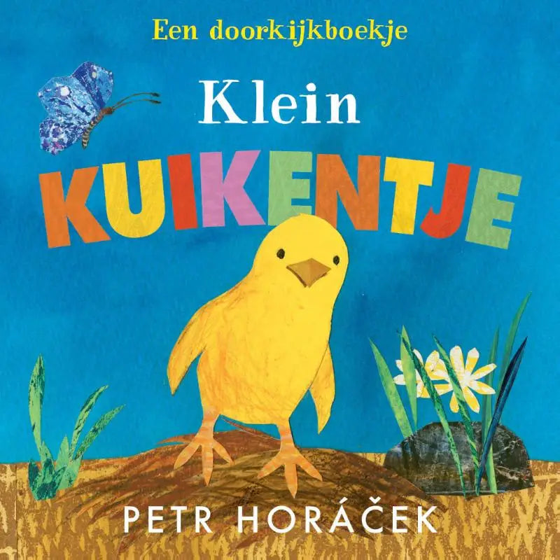 Een klein kuikentje geel met oranje snavel en voeten staat op aarde voor jonge lezers met blauwe achtergrond