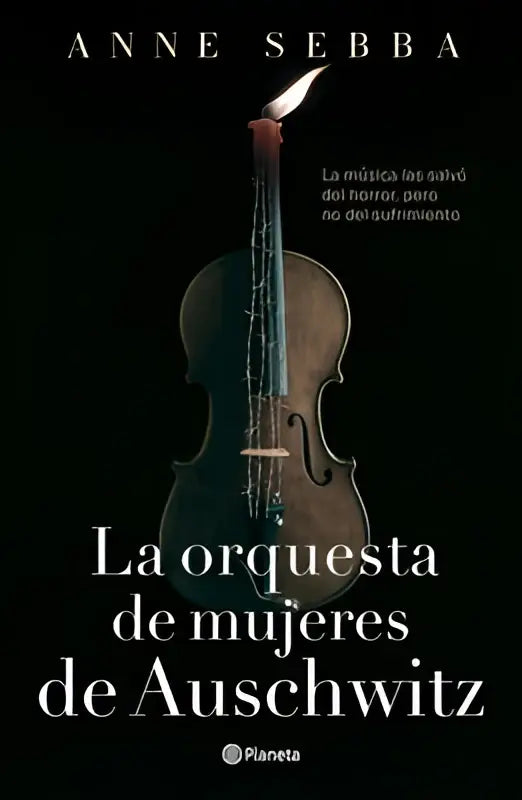 Donkere vintage viool met verweerd houten lichaam voor la orquesta de mujeres de auschwitz novela histórica