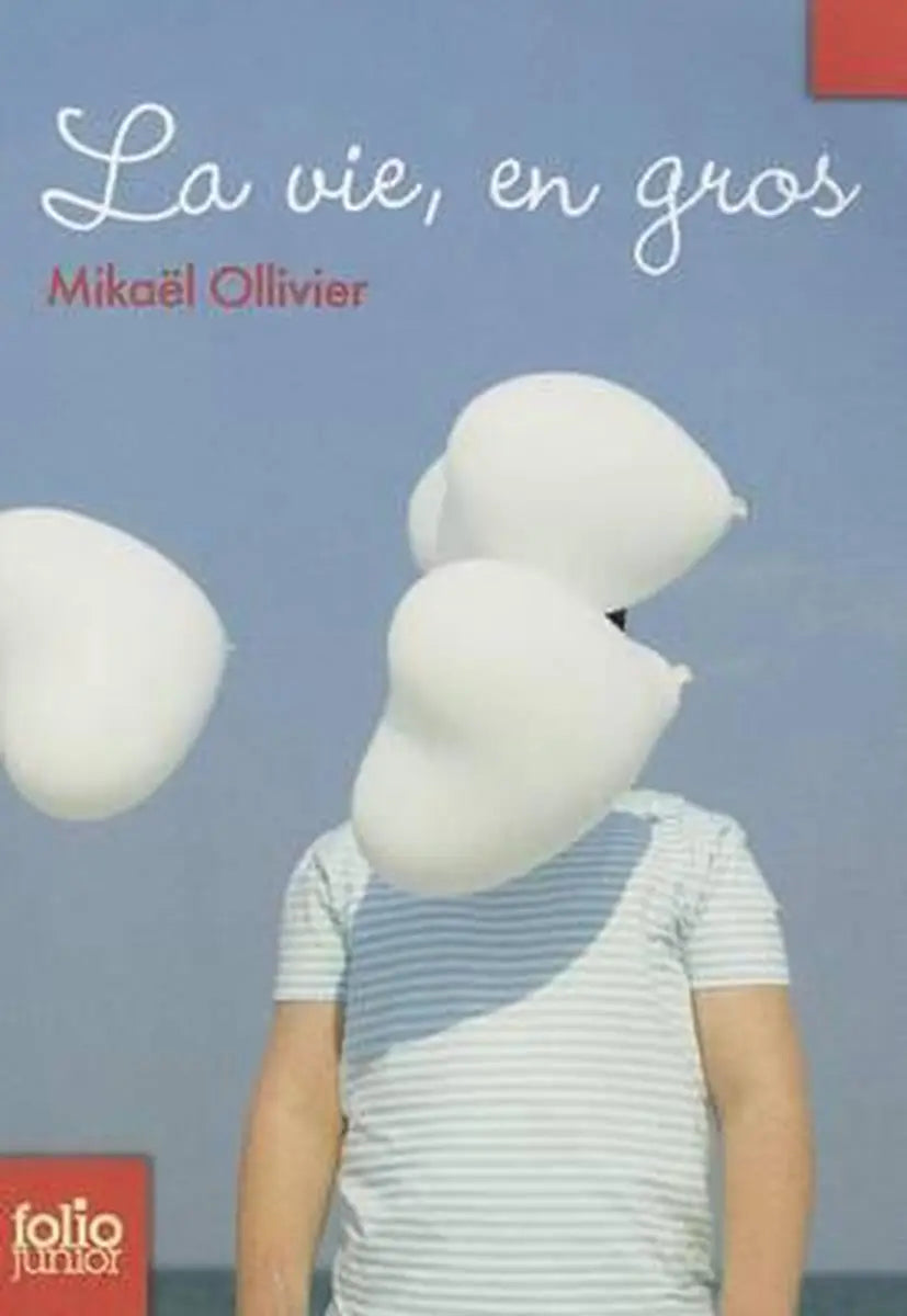 La vie en gros - la vie, en gros - boek