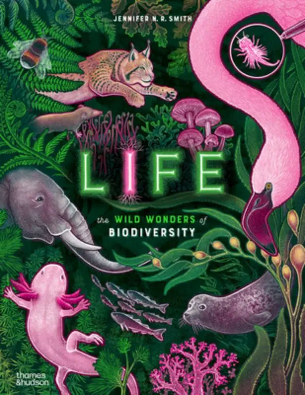 Levendig geïllustreerde boekcover life met een roze flamingo, axolotl en andere dieren in het wild wonders thema
