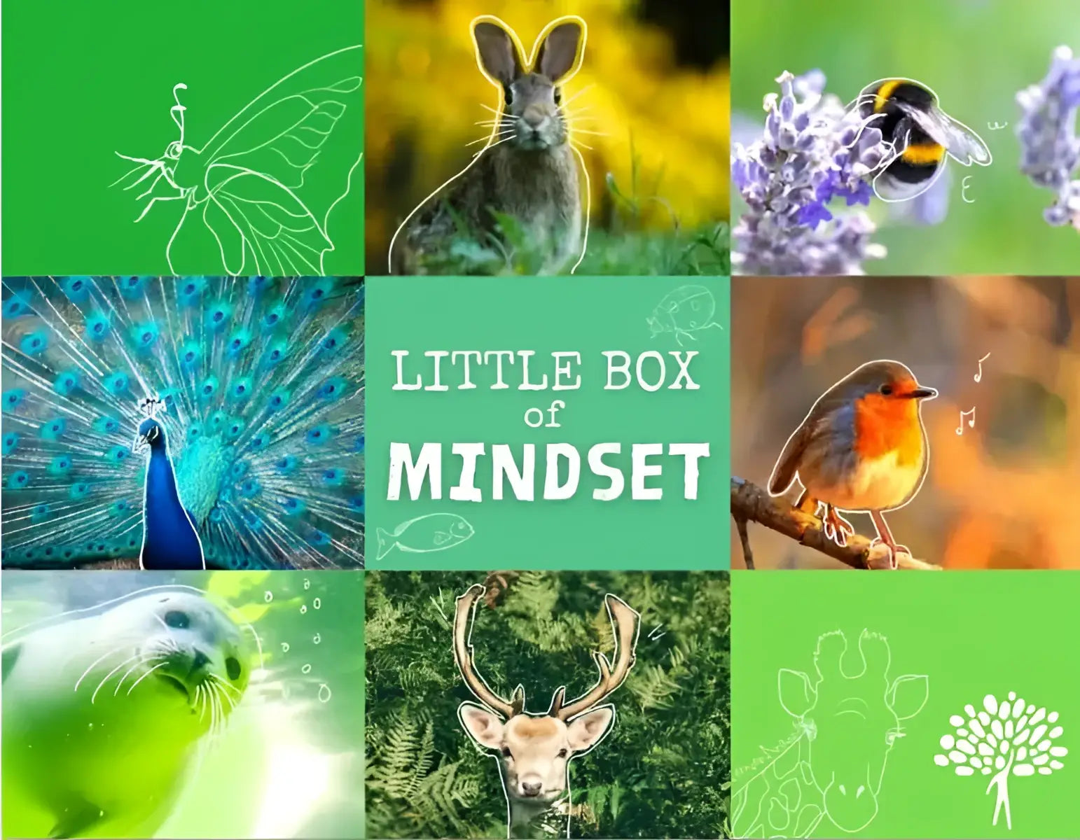De little box is een teal kleurige doos met de tekst little box of mindset en eenvoudige vis- en naturelementen