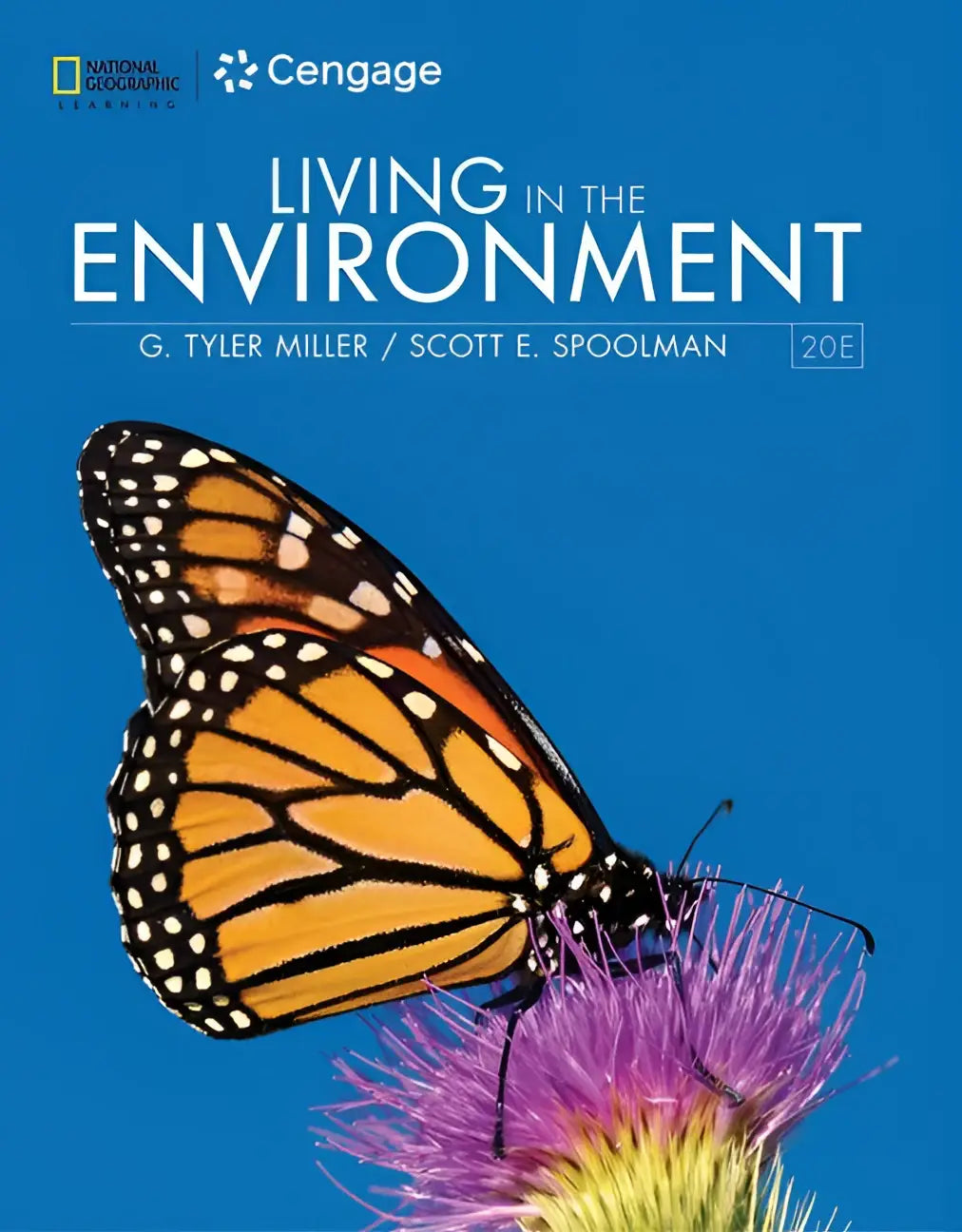 A vibrant orange and black monarch butterfly rests on a purple flower in living in the environment packed with captivating illustrations