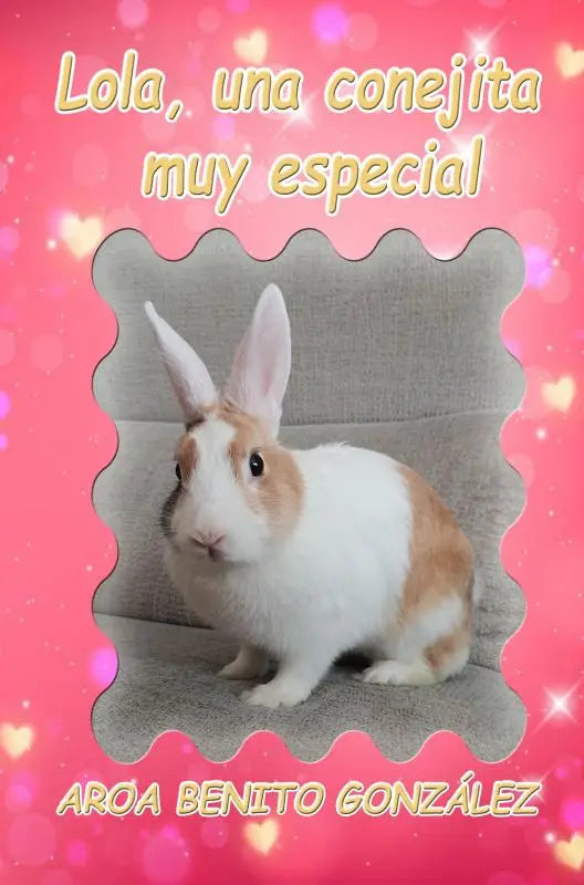 Lola una conejita muy especial es un conejo blanco y tostado con orejas erguidas sentado en superficie gris texturizada