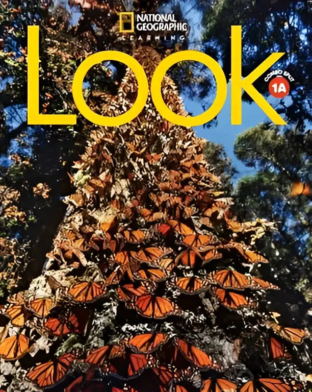 Een dichte cluster van oranje en zwarte monarchvlinders op een boomstam voor look level 1 combo split a