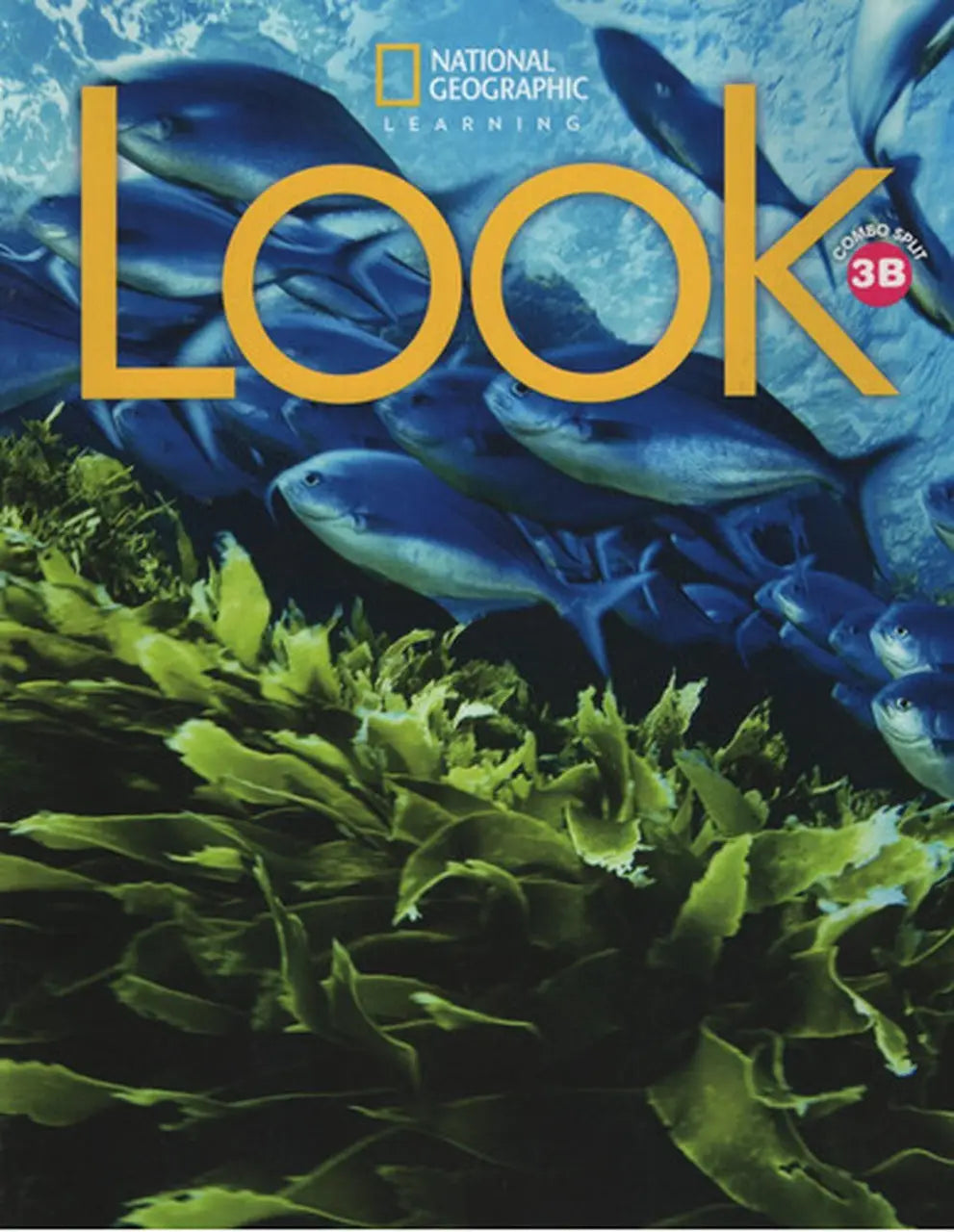 National geographic learning look level 3 combo split b book cover with blue fish above green seaweed