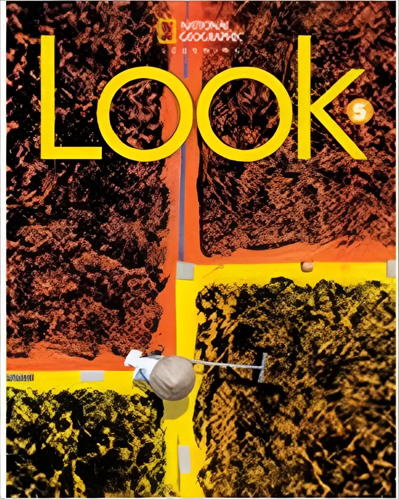 Look level 5 reading anthology - look level 5 reading anthology - boek