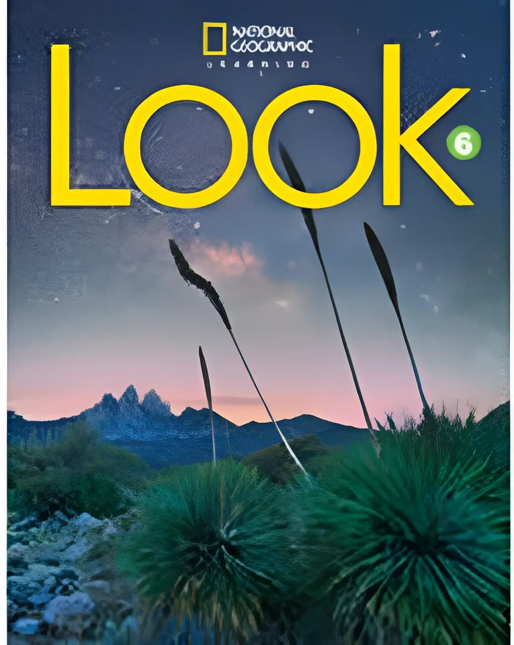 Look level 6 workbook - look level 6 workbook - boek