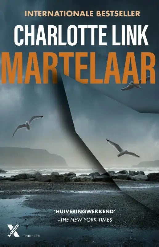 De boekcover van martelaar door charlotte link toont een dramatisch kustlandschap met meeuwen en donkere stormachtige luchten