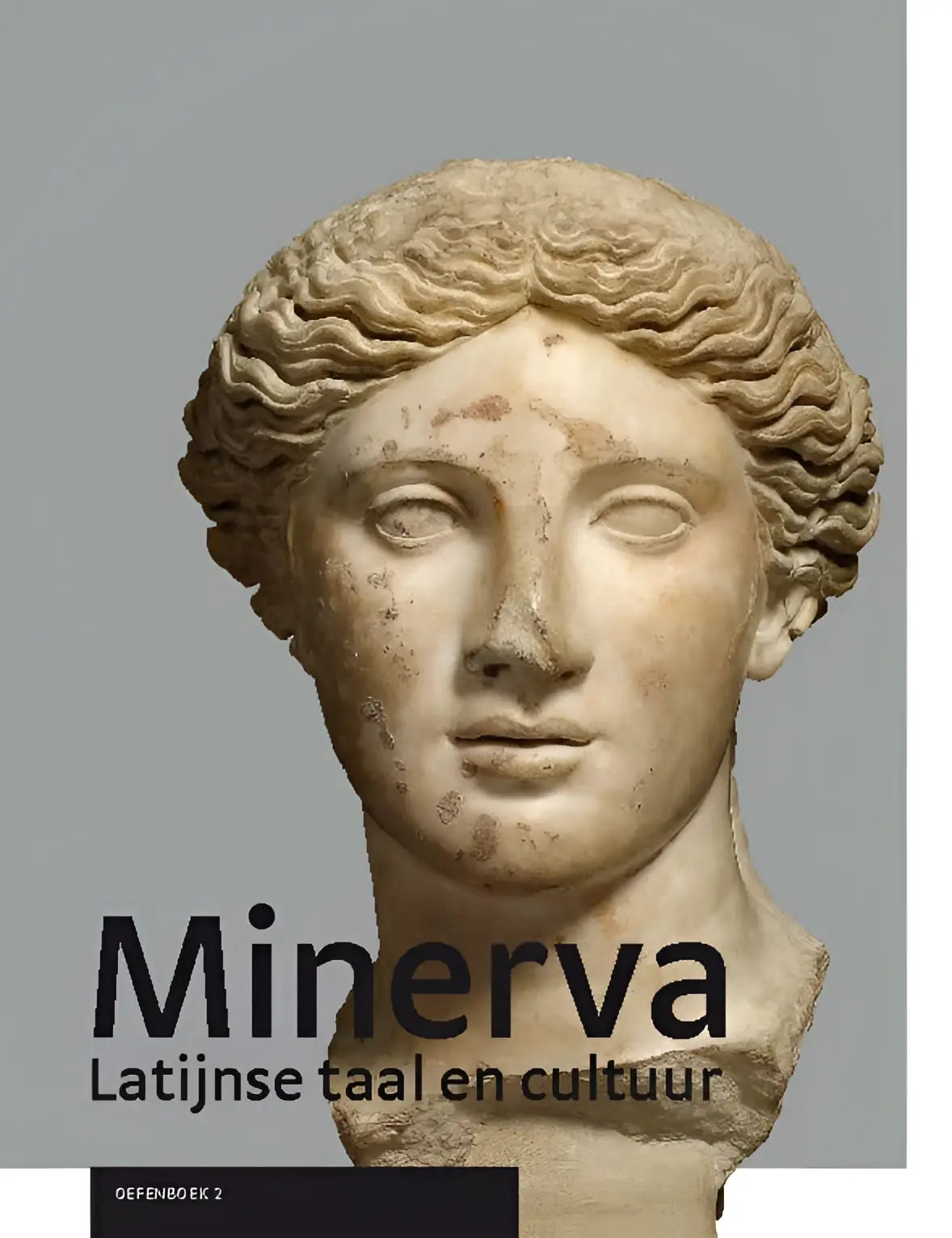 Antieke marmeren buste van minerva met fijn bewerkt golvend haar en klassieke gelaatstrekken