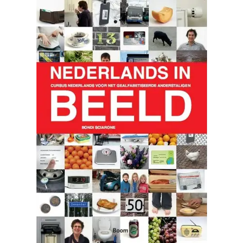 Nederlands in beeld - nederlands in beeld - boek