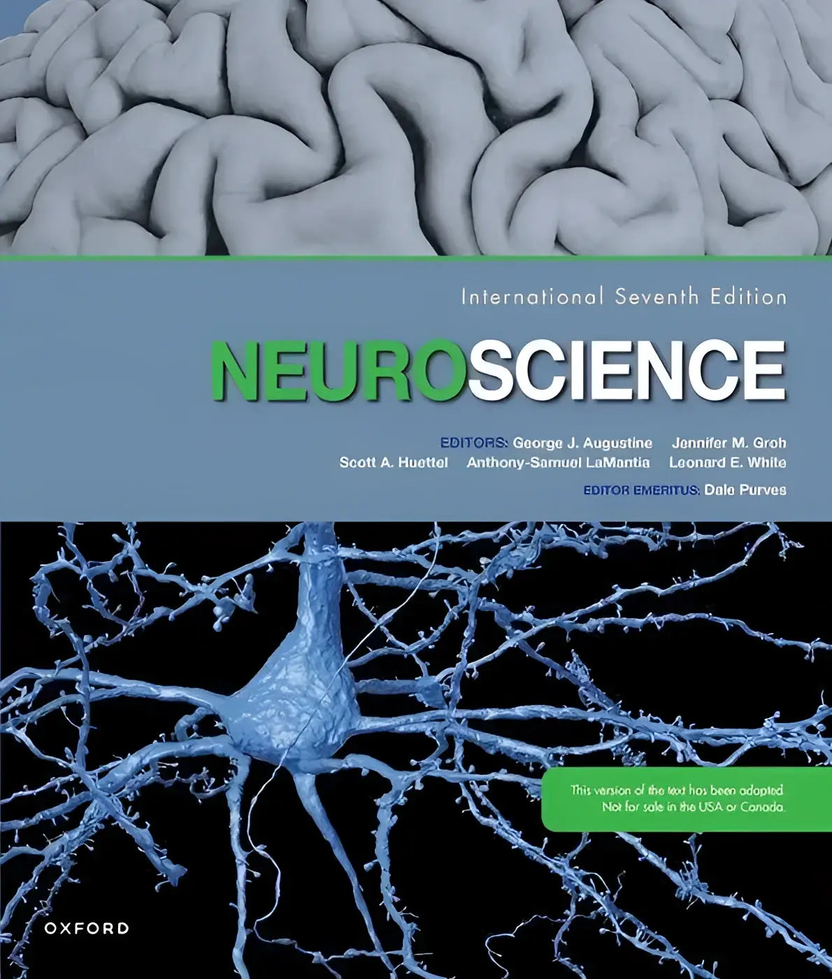 Cover van neuroscience zevende editie tekstboek door oxford university press met grijze hersentextuur en blauwe neuronenillustraties