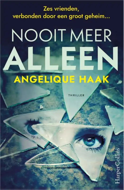 De boekcover van nooit meer alleen toont een blauwe oog omgeven door gebroken glas met een groot geheim thema