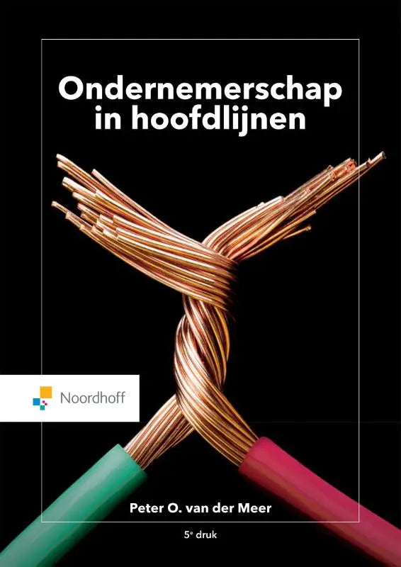 De boekomslag van ondernemerschap in hoofdlijnen toont twee koperen draden met groene en rode isolatie gekruist op zwarte achtergrond