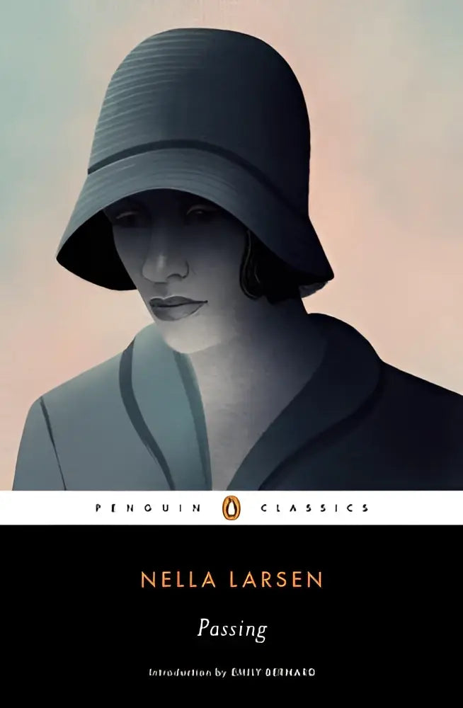 A soft-toned illustrated book cover of passing featuring a woman in a dark wide-brimmed hat for a brilliant and layered novel