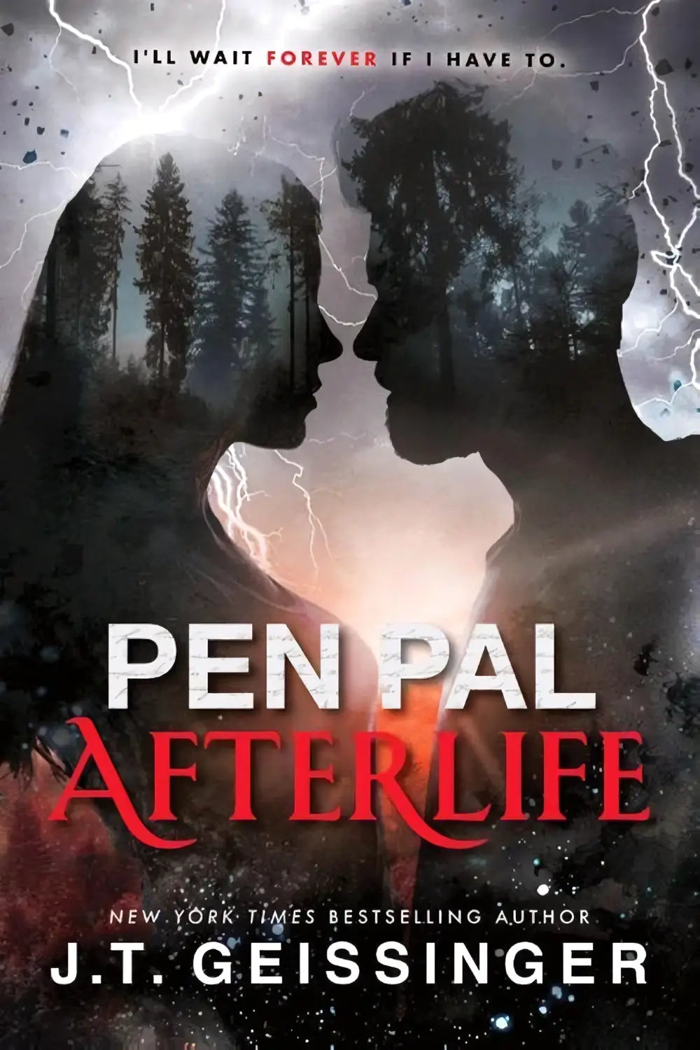 The book cover for pen pal afterlife by j t geissinger featuring dark tones for a paranormal romance novel