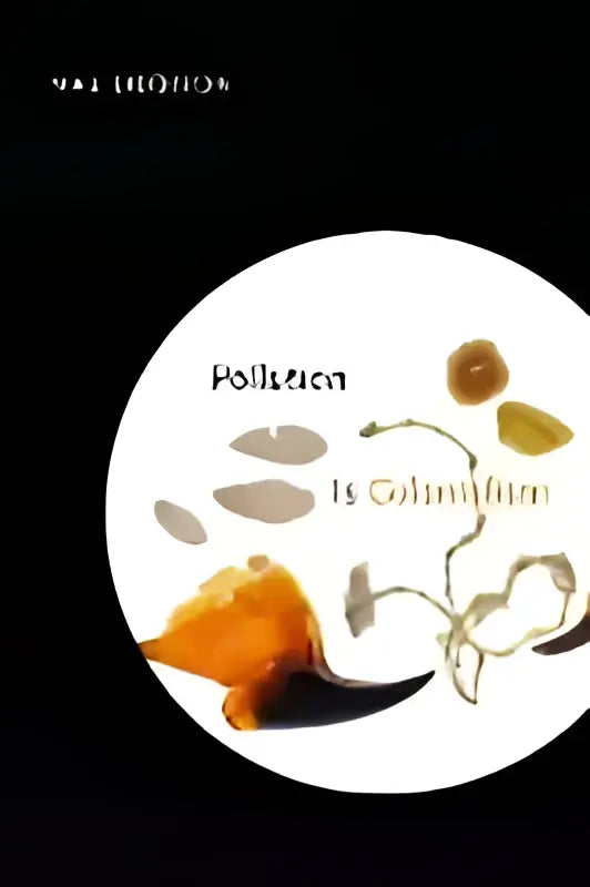 De afbeelding toont een circulair diagram over vervuiling en kolonisatie met oranje en zwarte symbolen in het product pollution is colonialism