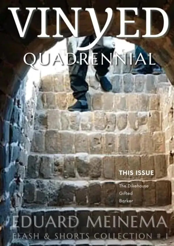 Cover of vinyed quadrennial magazine showing person in dark pants ascending stone steps through arched passageway