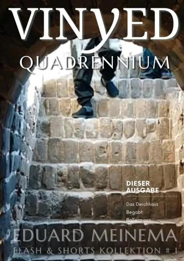 De quadrennium vinyed magazine cover toont een persoon in donkere broek en schoenen die stenen trappen door een boogtunnel beklimt