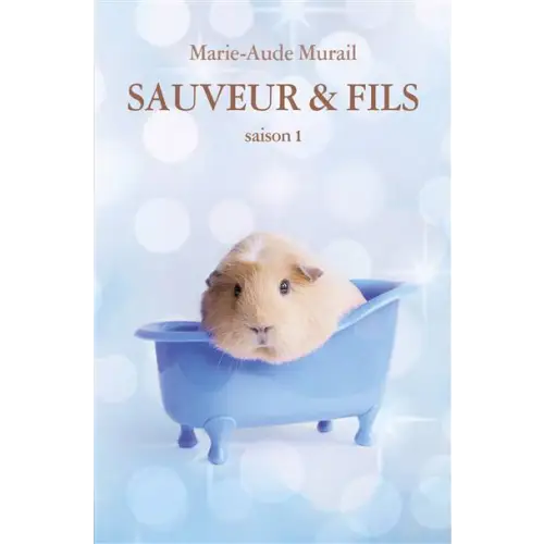 Sauveur & fils saison 1 - sauveur & fils saison 1 - boek