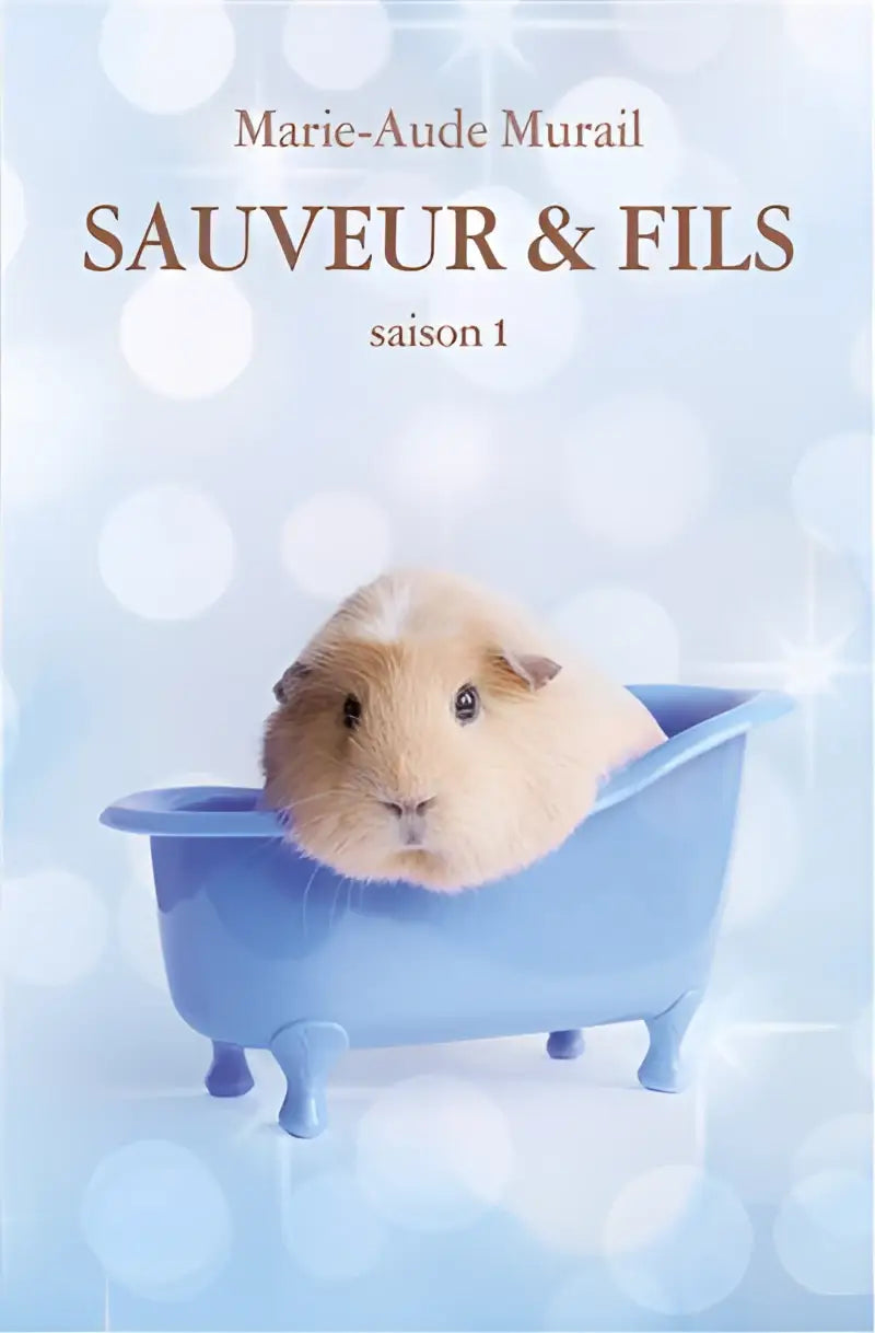 Sauveur & fils saison 1 - sauveur & fils saison 1 - boek