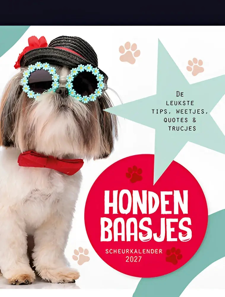 Een fluffy witte en bruine shih tzu met zwarte hoed, turquoise zonnebril en rode strik in scheurkalender 2027 leukste tips